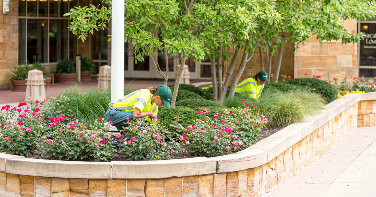 Mobile AL Tree Care Commercial Tree Care - effective pest control for trees