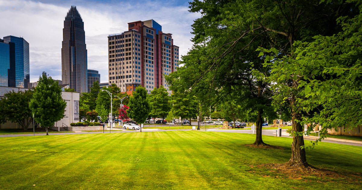 Mobile AL Tree Care Commercial Tree Care - tree planting services