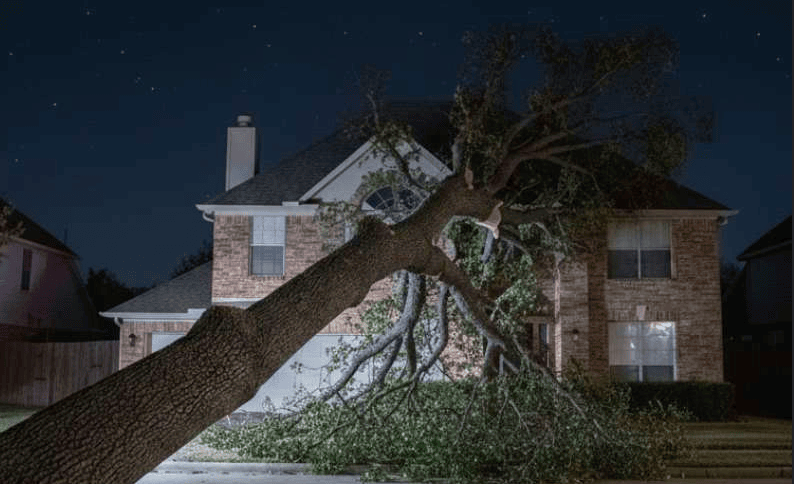Mobile AL Tree Care Emergency Storm Damage Services - leak repair