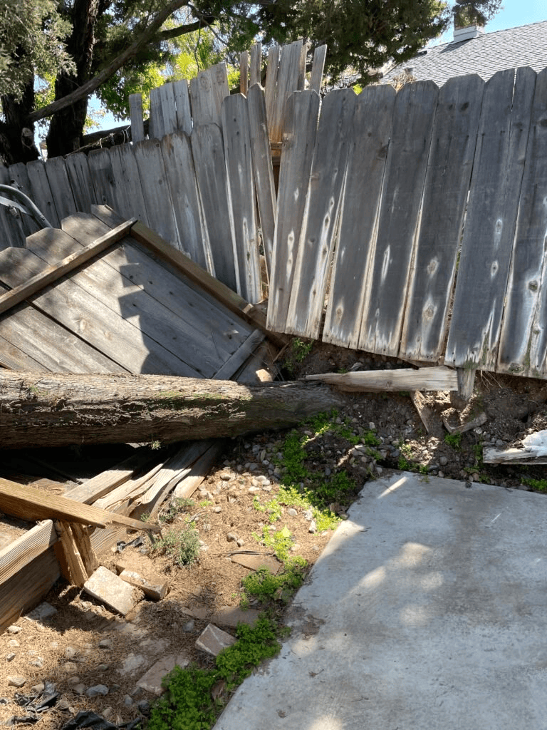 Mobile AL Tree Care Emergency Storm Damage Services - storm cleanup services