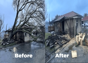 Mobile AL Tree Care Emergency Storm Damage Services - structural drying