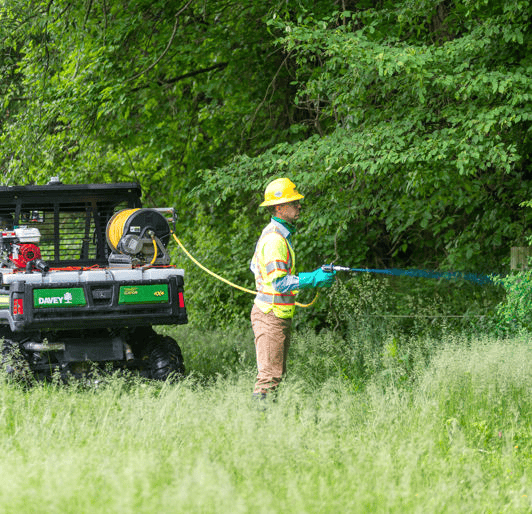 Mobile AL Tree Care Invasive Species Management - early detection and rapid response