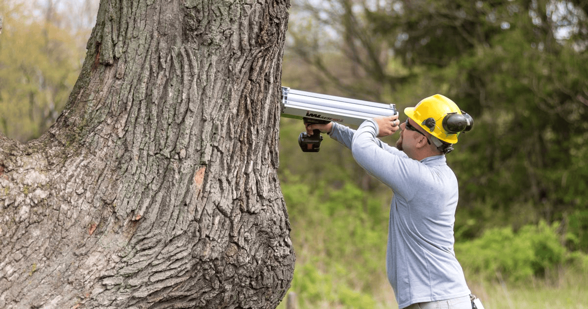 Mobile AL Tree Care Invasive Species Management - pest monitoring for invasive threats