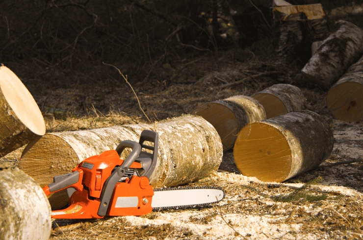 Mobile AL Tree Care tree contractor - pest control for trees